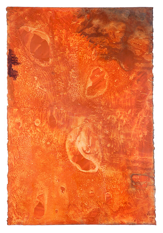 ACHIOTE papel 16.jpg